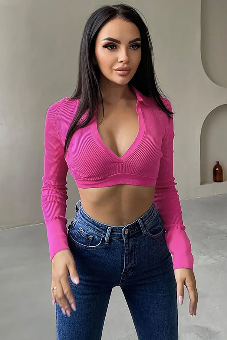 Flip Deep V Neck Knit Long Sleeve Crop Top