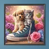 Leinwand Schuhe Kätzchen und Welpe - Rundbohrer Diamantmalerei - 40*40cm
