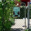 Three Black Cat - Vintage Metal Signs(12*16Inch) - Cat