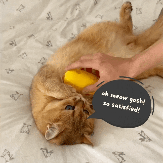 🔥Last Day Promotion - 49% OFF🎁CatCare Spa Brush