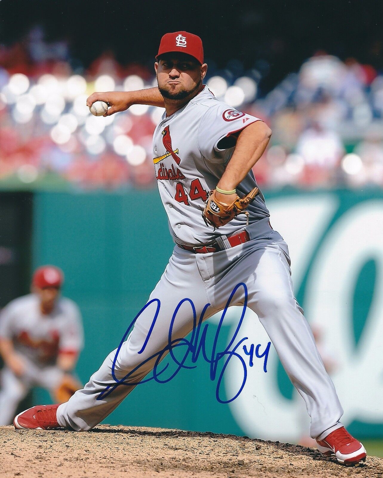 Signed 8x10 EDWARD MUJICA Autographed St Louis Cardinals Photo Poster painting- COA