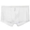 Men's sexy ultra-thin transparent mesh boxer briefs