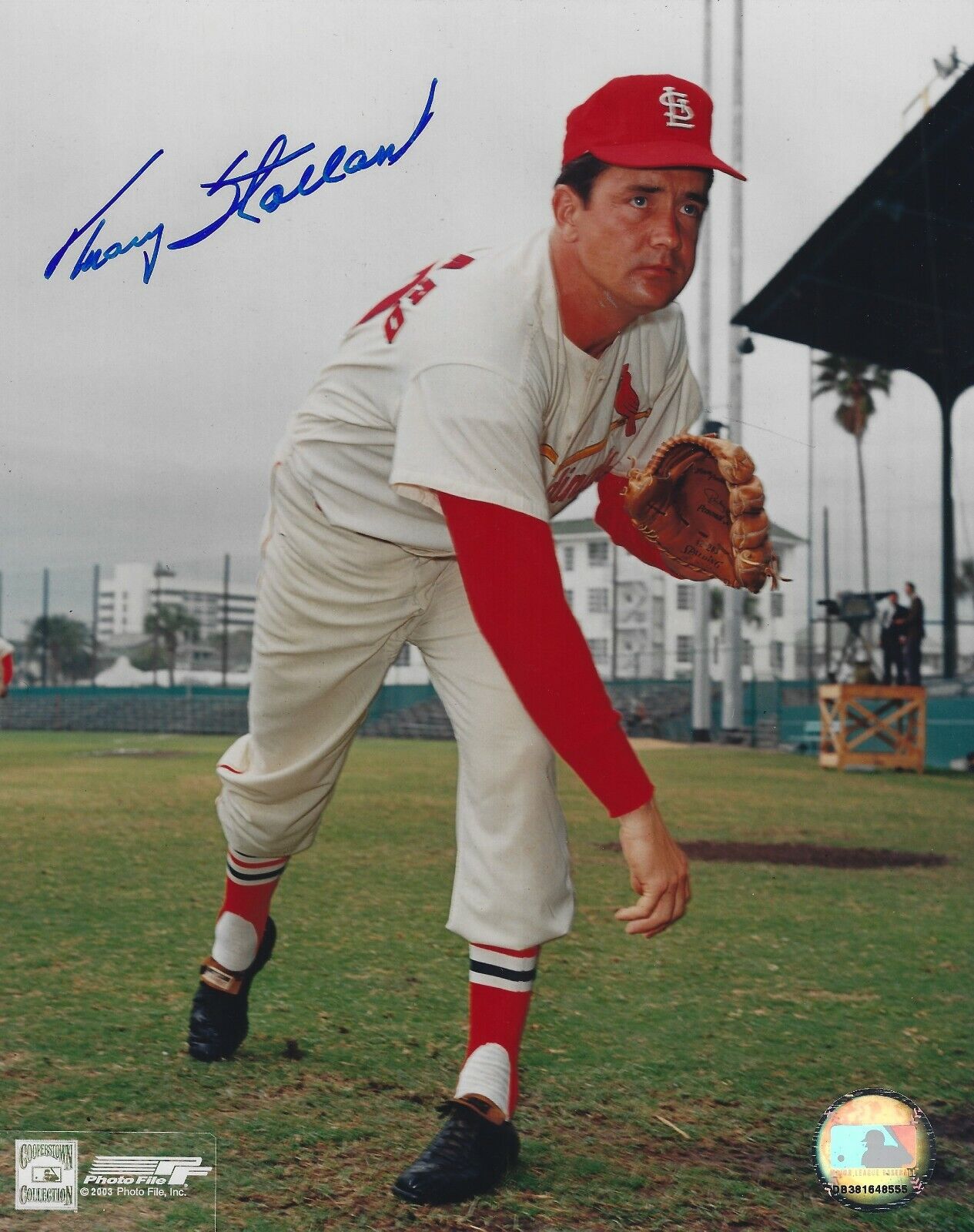 Autographed TRACY STALLARD St. Louis Cardinals 8x10 Photo Poster painting w/ COA