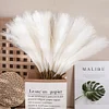 Mini Pampas Reed Grass Artificial Flower Home Wedding Photoshooting Decor