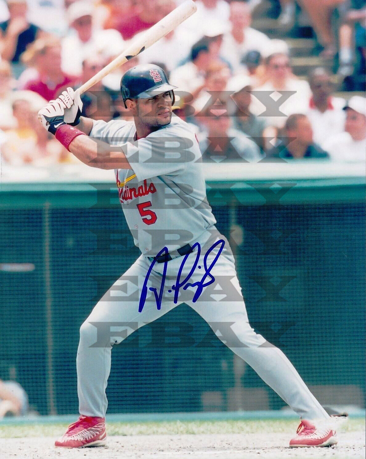 Albert Pujols Cardinals 8x10 autographed Photo Poster painting Reprint