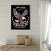 Eagle America Full DIY 5D rond drill dots peintures peintures arts plastiques pour adultes/d&eacute;butants id&eacute;es cadeaux d&eacute;coration murale maison kits de pe