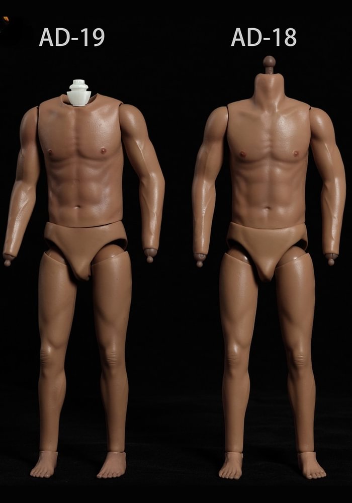Pre-order 1/6 ADTOYS Asian Male Body Asian Male Body AD-18 AD-19-shopify
