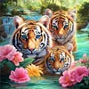 (US Local)Tiger-11CT Stamped Cross Stitch Kit(50x50cm)