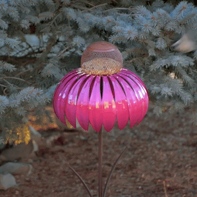 US$ 23.99 - Sensation Pink Bird Feeder, Coneflower Standing Bird Feeder, Rust Resistant Garden Art Metal Birdfeeder - m.perfectnows.com