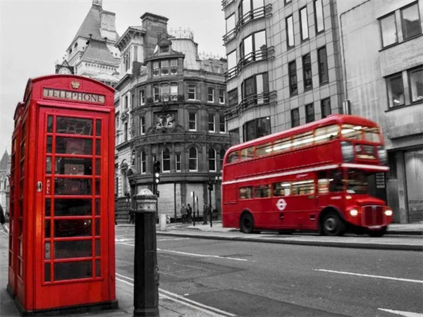 Diamond Painting - Full Round/Square Drill - Red(30*40 - 50*60cm)