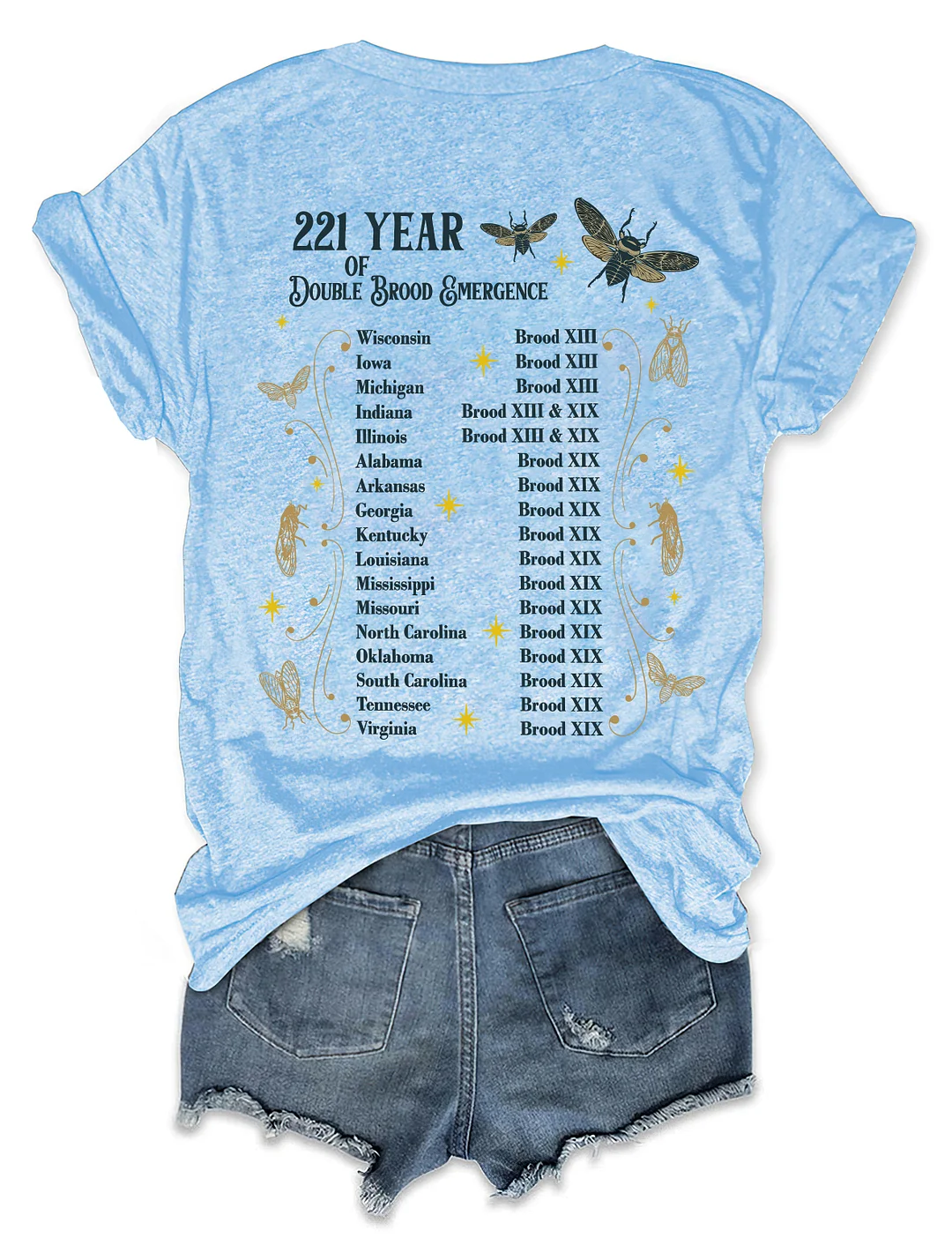 The Cicadas Reunion Tour Summer 2024 T-shirt