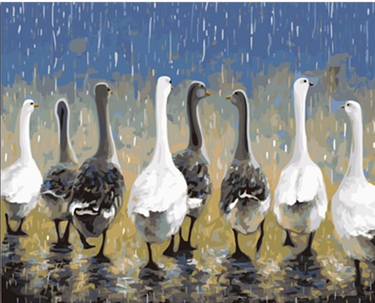 

Group ducks – Paint By Numbers - 40*50CM, 501 Original