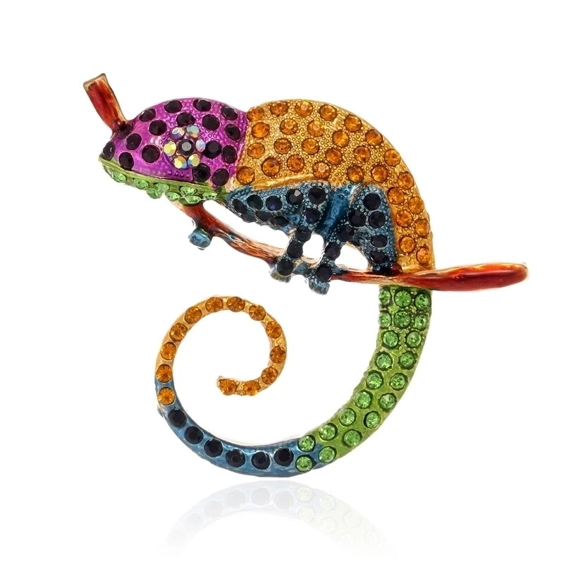 Ig Style Animal Flower Alloy Enamel Inlay Rhinestones Women’s Brooches