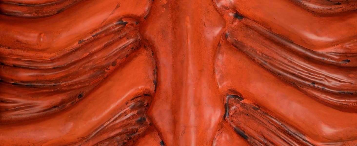 rib cage