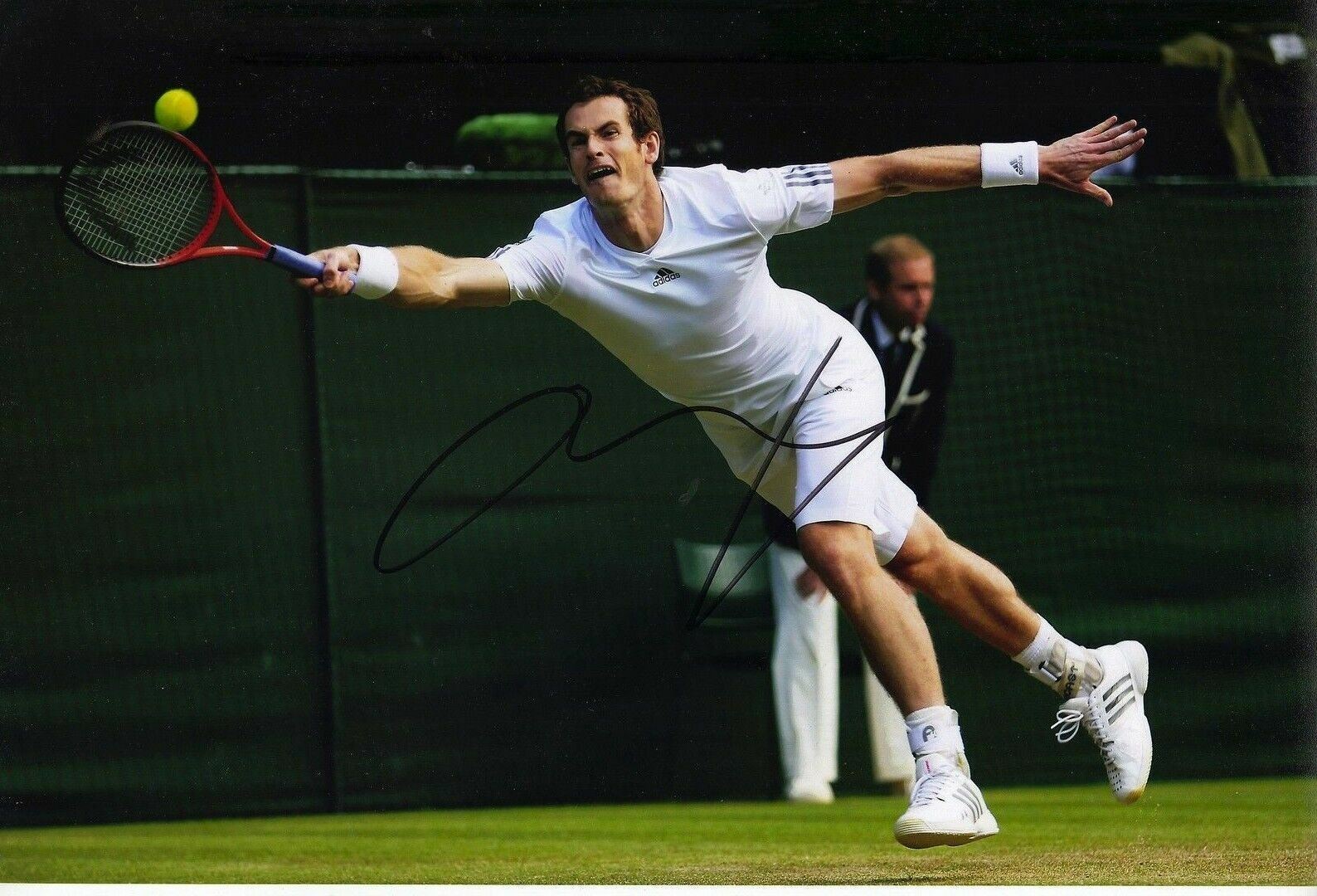 Andy Murray Signed 12X8 Photo Poster painting WIMBLEDON 2013 AFTAL COA (C)