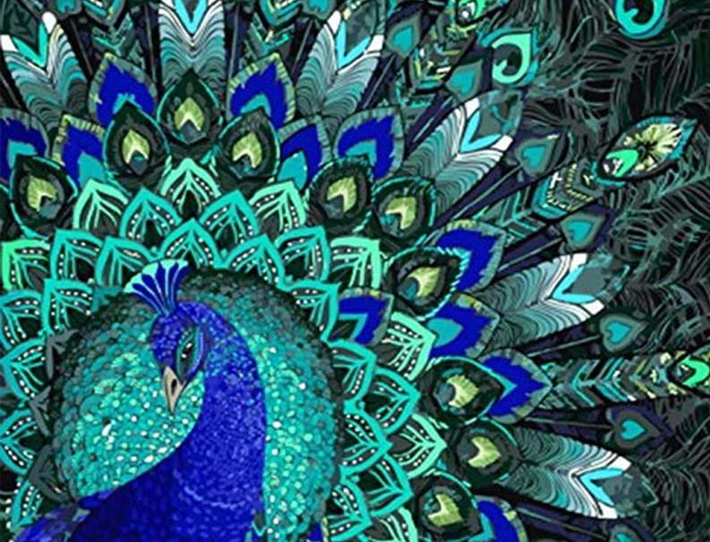 

Shapely Peacock – Paint By Numbers - 40*50CM, 501 Original