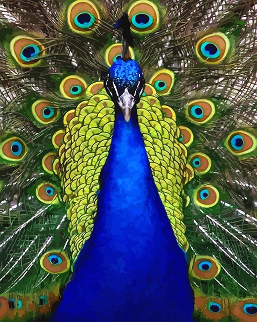 

Blue Golden Peacock Bird – Paint By Numbers - 40*50CM, 501 Original