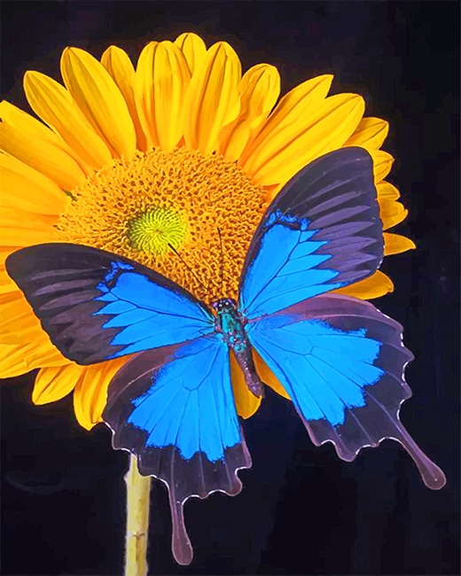 

Blue Butterfly And A Sunflower – Paint By Numbers - 40*50CM, 501 Original