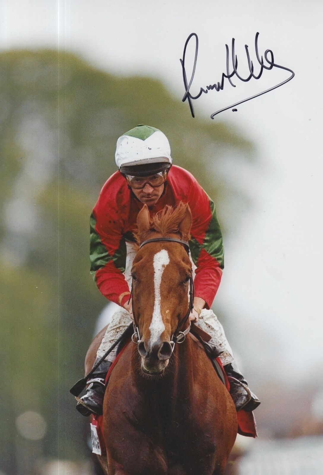 Richard Hills Hand Signed 12x8 Photo Poster painting Horse Racing.