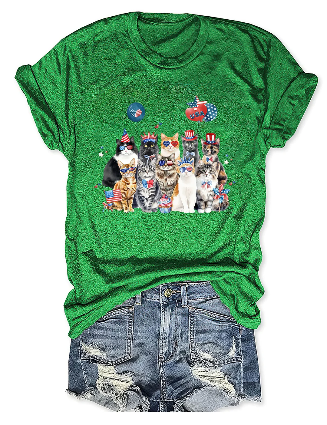 4th Of July Cat T-shirt