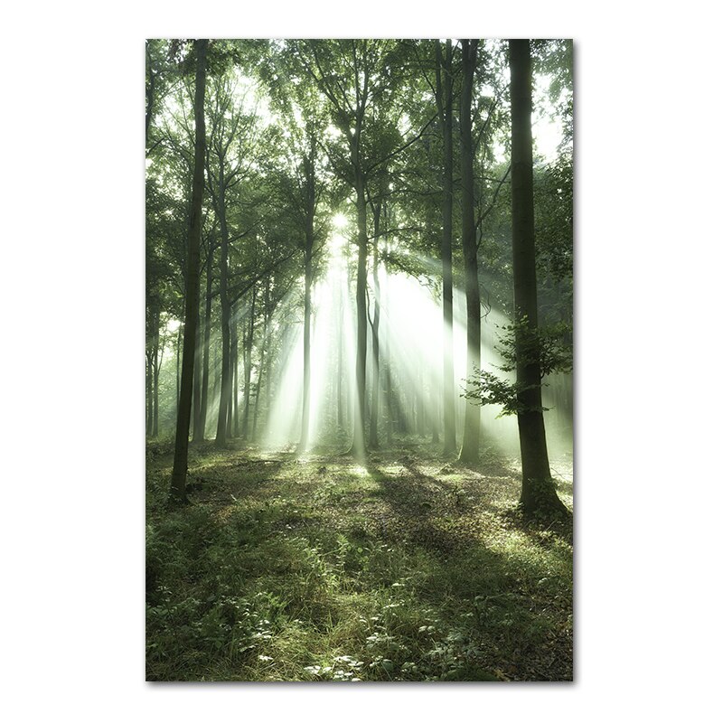 Forest Landscape Sunshine Mountain Poster Green Hydrangea River Canvas Painting Soccer Pitch Prints Wall Art Home Decor Picture