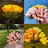 Twinkling Tree Tulips