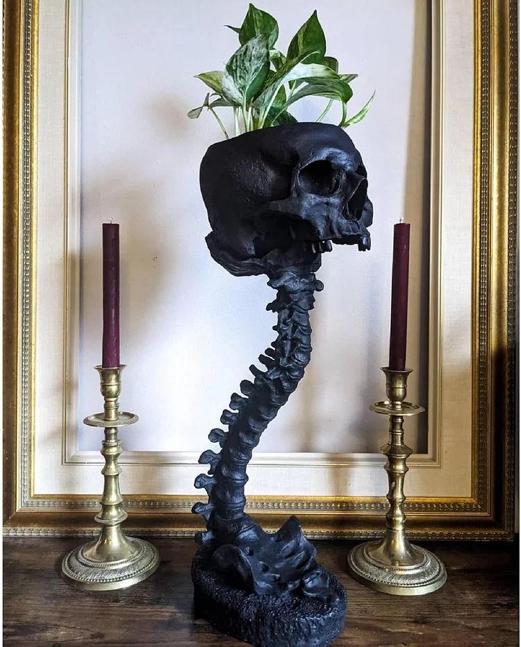 Skull Planter with Spine Stand 