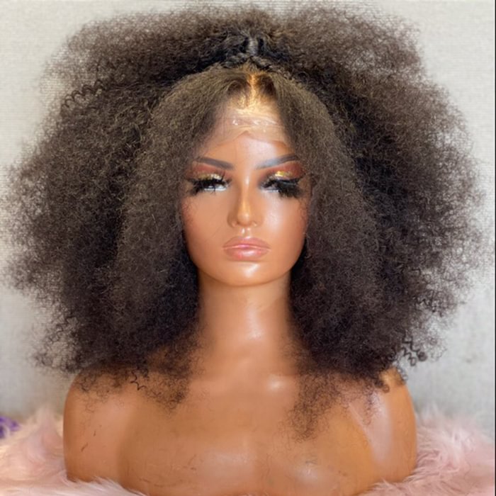 WeQueen 18 Inches Afro Style with Braids 13x5 with Ponytail Lace Frontal Wigs 250% Density-100% Human Hair