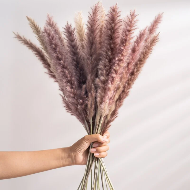30Pcs Natural Dried Pampas Grass Reed Flowers Bouquet Wedding Decoration Real Dry Flower Decor For Room Preservadas Flores