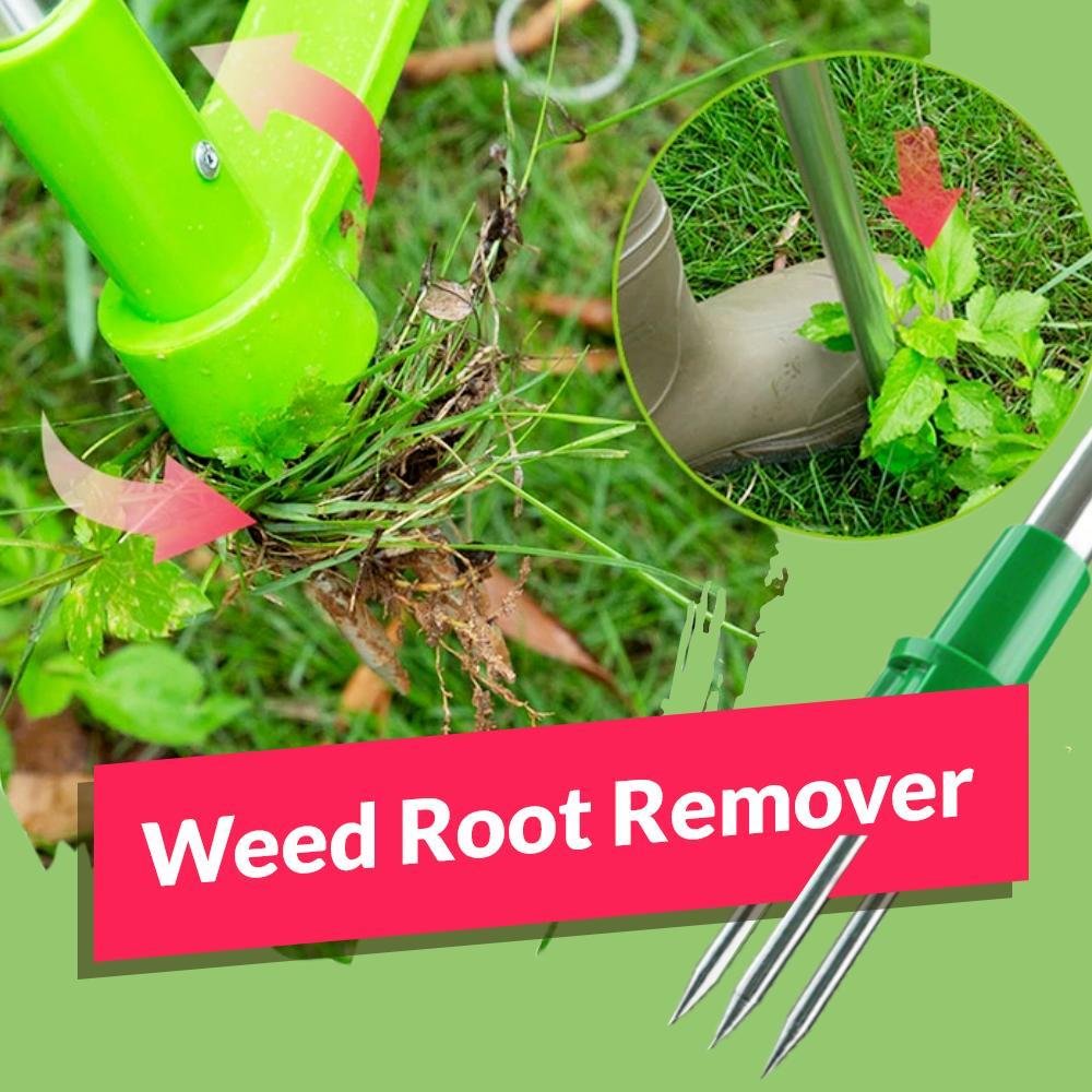 Weed Root Remover
