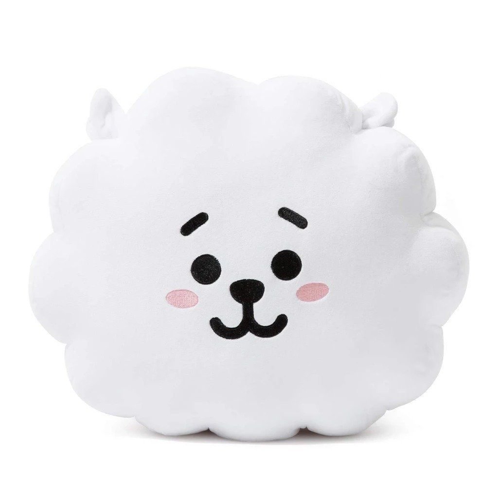 bt21 rj cushion