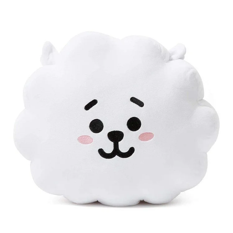 BT21 X RJ Cushion