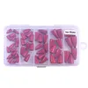 50PCs Bullets Fishing Sinkers Weights Slip Sinkers Kit for Bass Trout Panfish