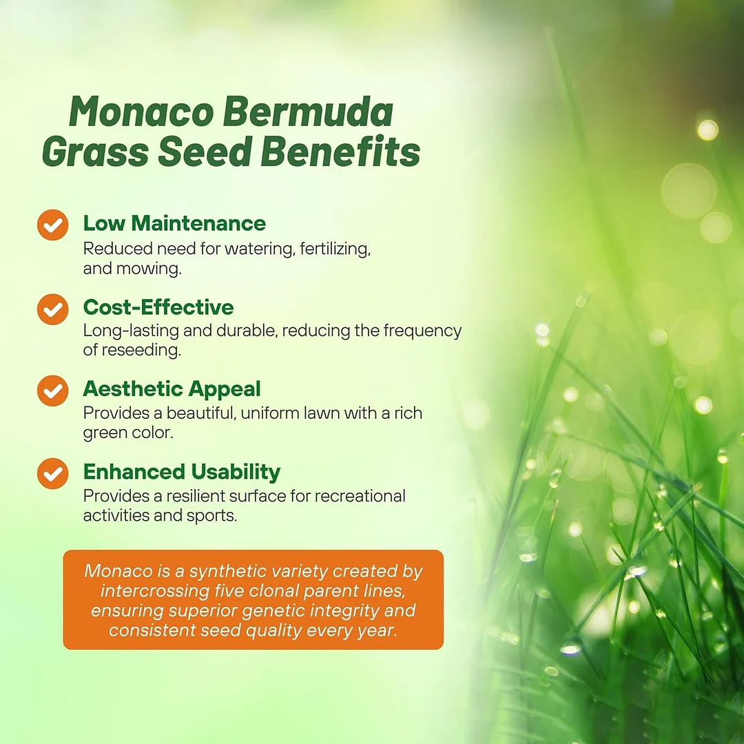 Monaco Bermuda Grass Seed