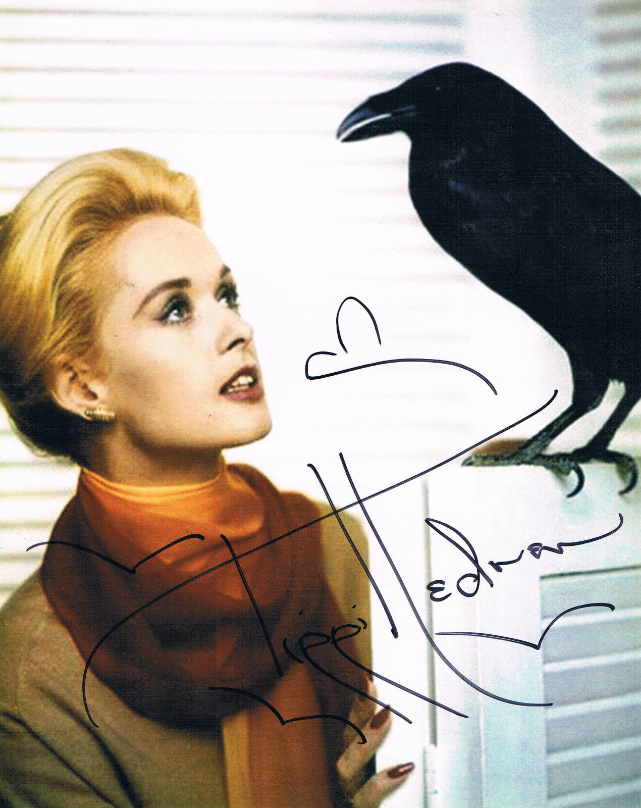 Tippi Hedren 1930- genuine autograph IN PERSON signed 8x10