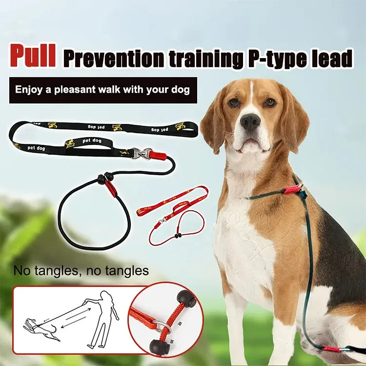 No-Choke One-Piece Dog Leash