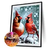 Diamond Painting-DIY Full Round Drill Cardinal