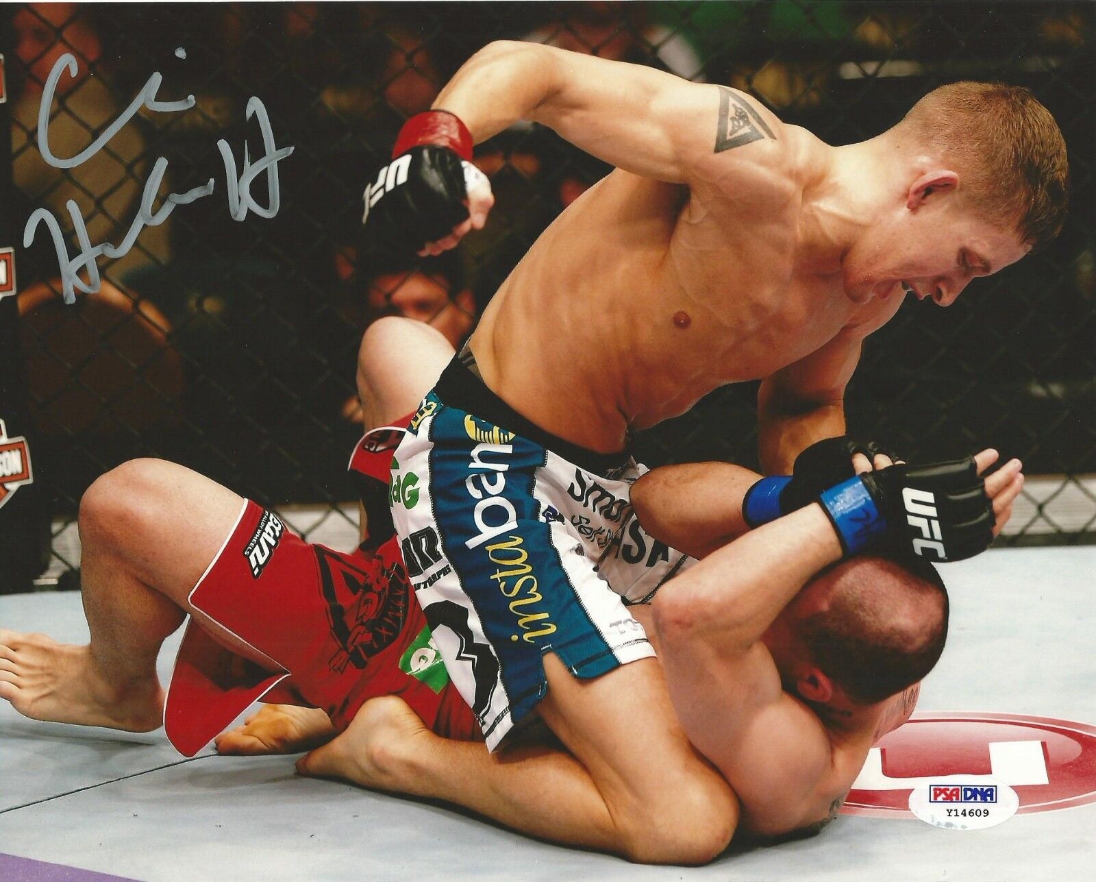 Chris Holdsworth Signed UFC 8x10 Photo Poster painting PSA/DNA COA Picture Autograph 173 TUF 18