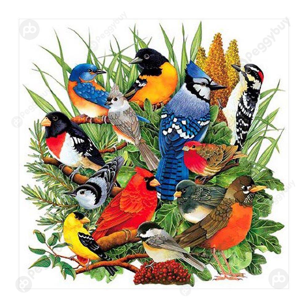 Как поют разные звери птицы и насекомые. Разнообразные птицы. Птицы коллаж. Много разных птиц. Много пиц.