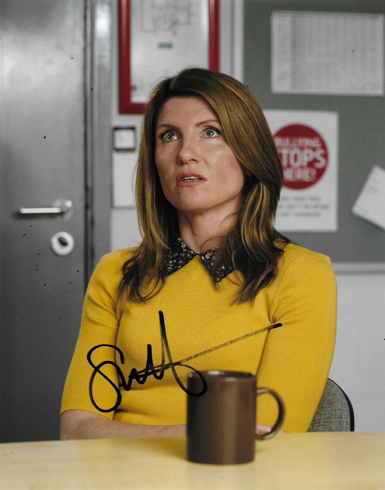 Sharon Horgan Signed Catastrophe 10x8 Photo Poster painting AFTAL