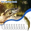 10pcs Luminous Live Shrimp Fixing Hook Metal Barbed Fishhook Live Shrimp Hooks