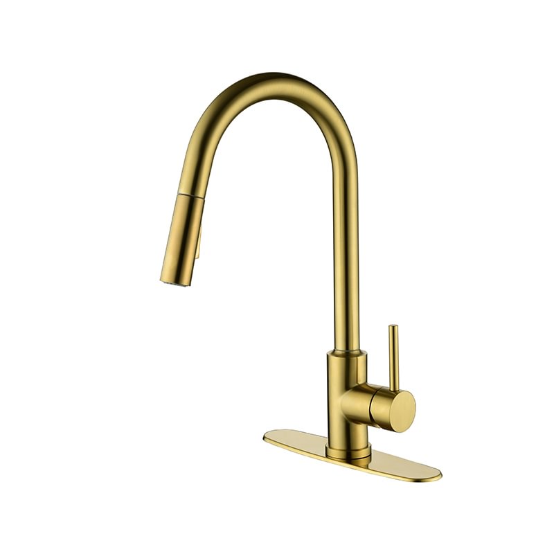 Pull Down Sprayer Kitchen Faucet