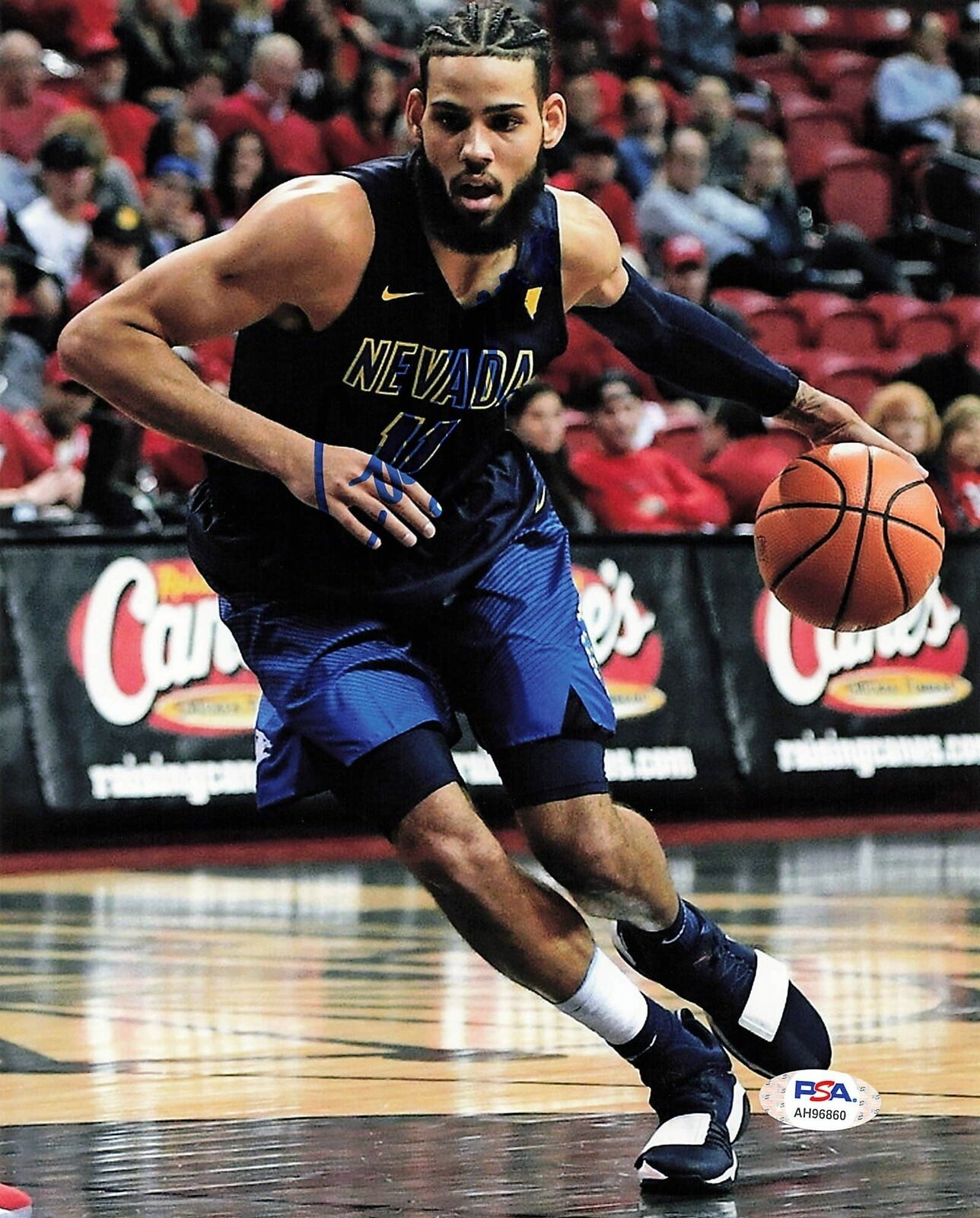 Cody Martin signed 8x10 Photo Poster painting PSA/DNA Nevada Autographed Hornets