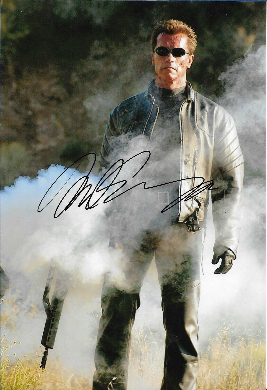 Arnold Schwarzenegger Signed Autographed 8x10 Photo Poster painting incl. COA