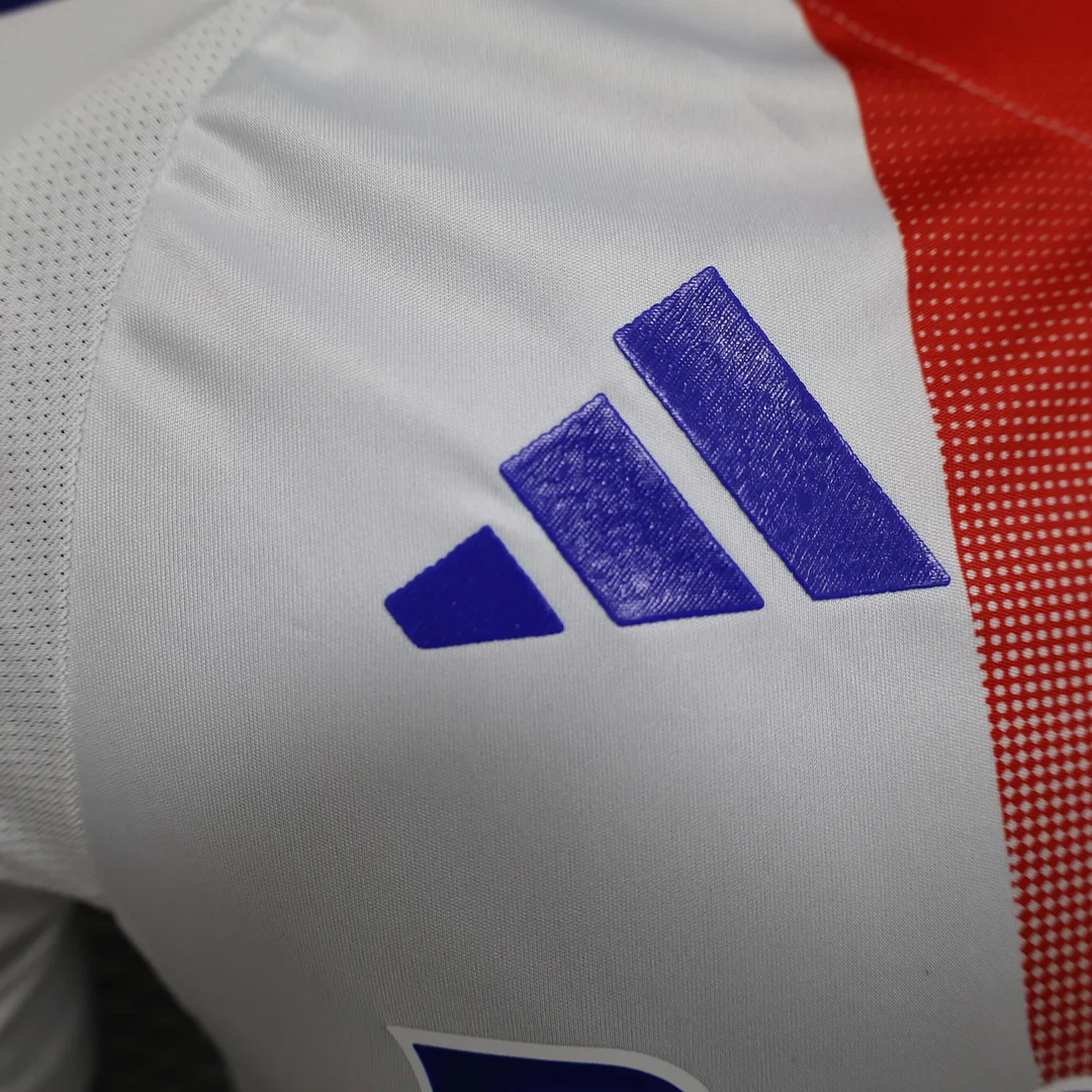 2024/2025 Player Version Lyon Home Football Shirt 1:1 Thai Quality