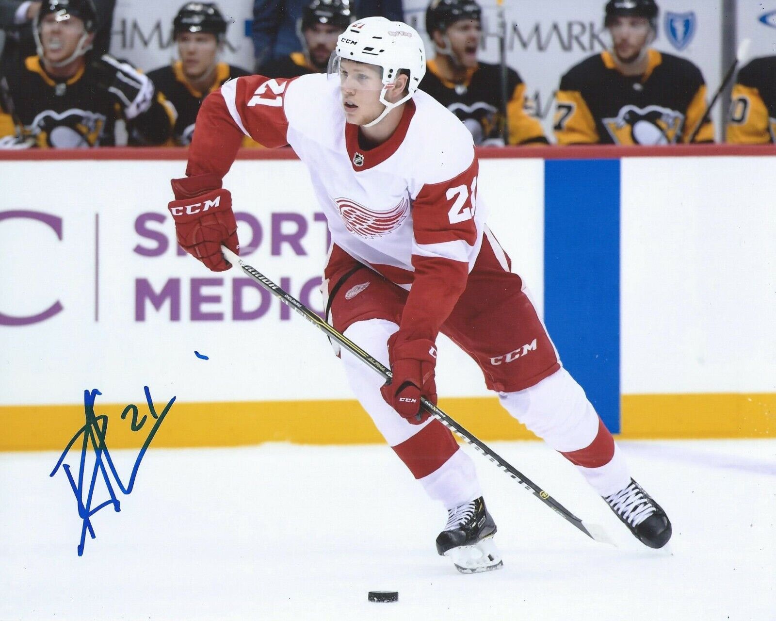 Dennis Cholowski Signed 8x10 Photo Poster painting Detroit Red Wings Autographed COA C