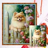 Flowers Pomeranian-11CT Counted Cross Stitch 40*50cm/15.75*19.69in
