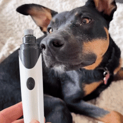 FreshPaws&trade; Silent Nail Grinder
