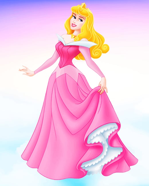 

Disney Princess Aurora – Paint By Numbers - 40*50CM, 501 Original