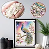 Diamond Painting-DIY Special Shaped Drill Pearl Painting Peacock(30x40cm)